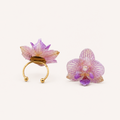 Anillo de Orquídea Phalaenopsis