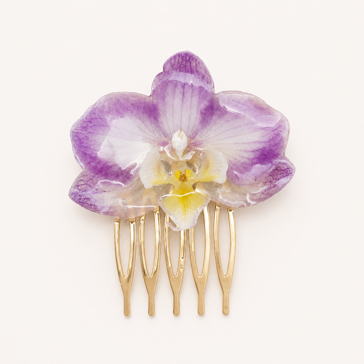 Pinza orquídea Phalaenopsis
