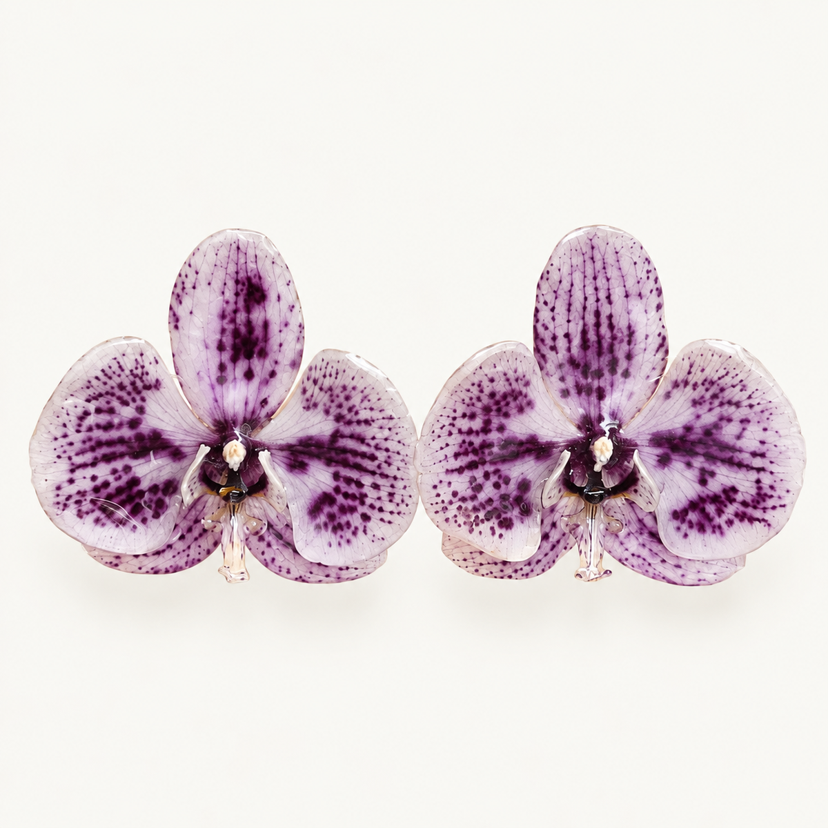 Topos Orquídea Phalaenopsis