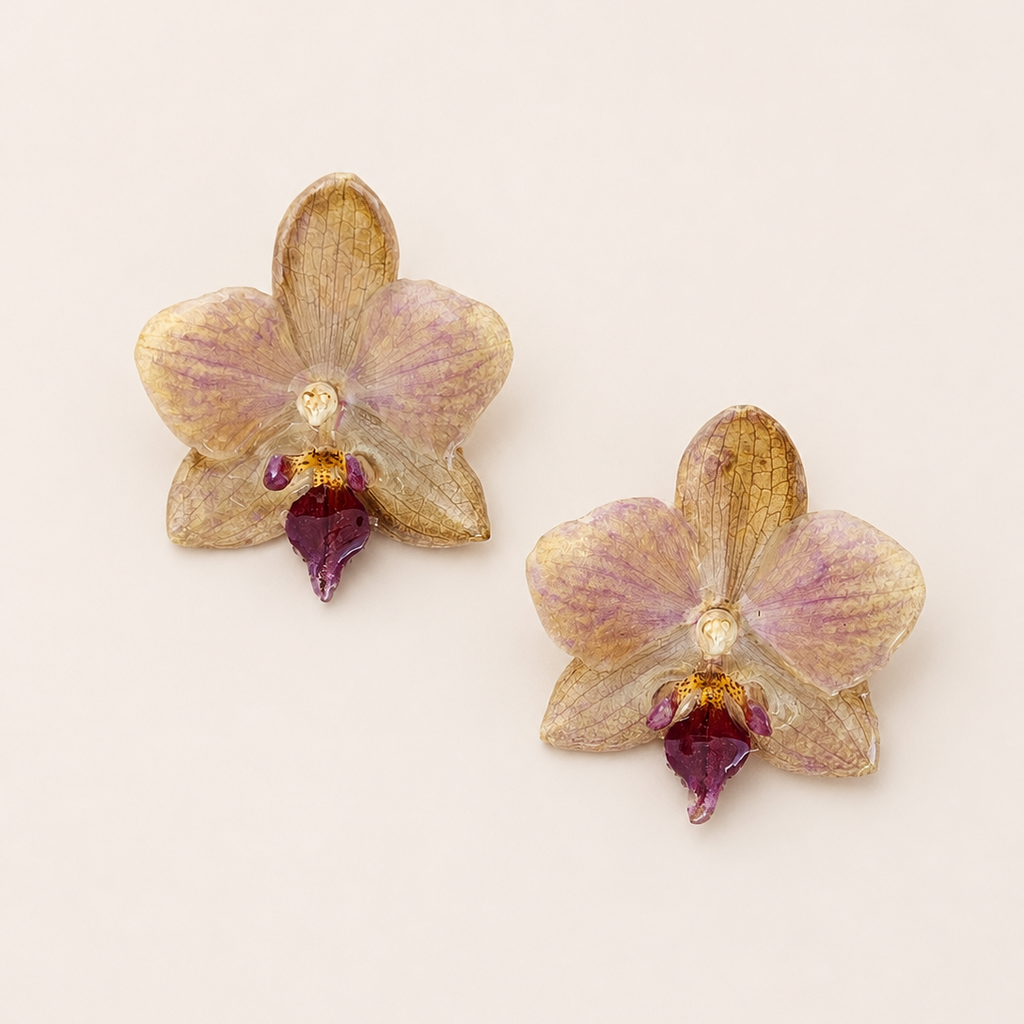 Topos orquídea Phalaenopsis