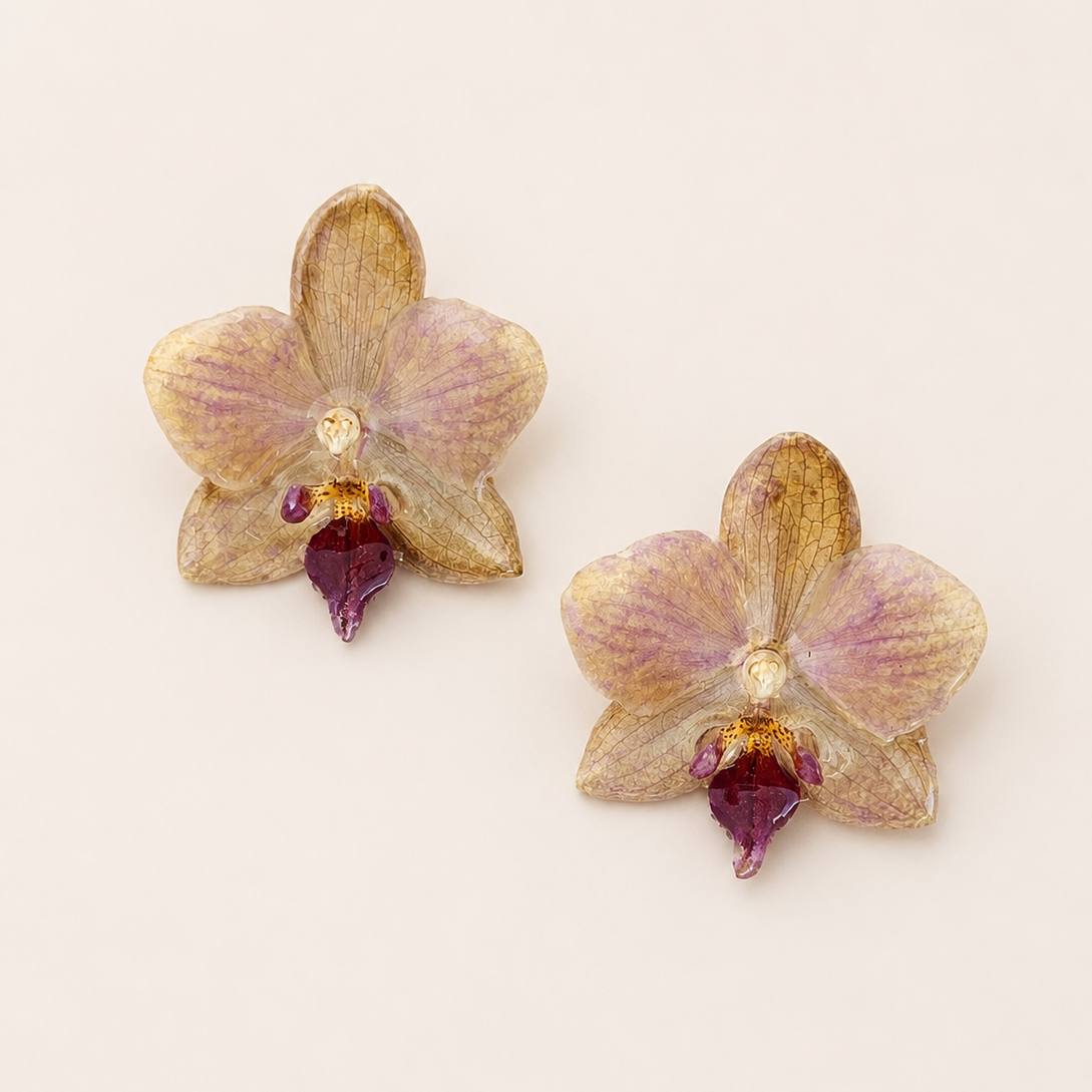 Topos orquídea Phalaenopsis