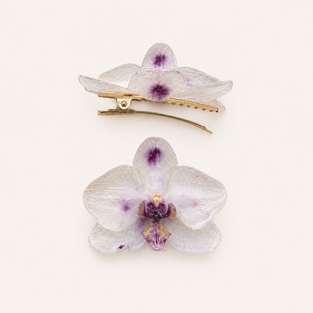 Pinza orquídea Phalaenopsis