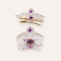 Pinza orquídea Phalaenopsis