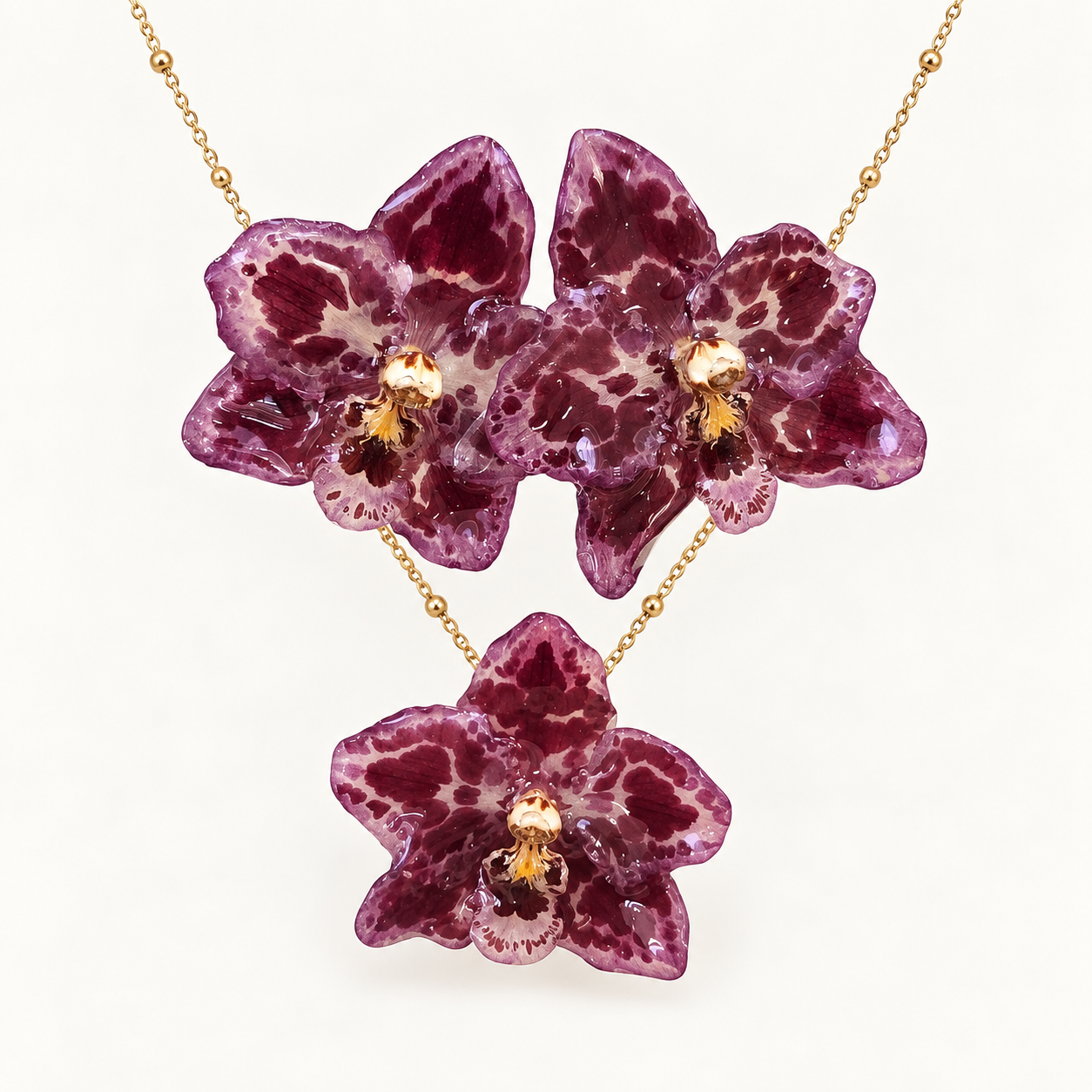 Conjunto Odontoglossum