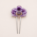 Pinza orquídea Phalaenopsis