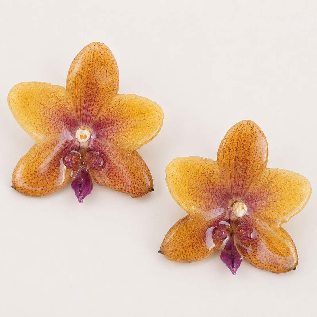 Topos Orquídea Phalaenopsis