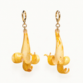 Pendientes flor Pyrostegia