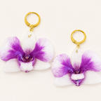 Aretes Dendrobium