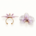 Anillo de Orquídea Phalaenopsis