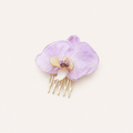 Pinza orquídea Phalaenopsis