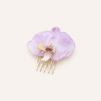 Pinza orquídea Phalaenopsis
