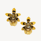 Topos orquídea Colmanara