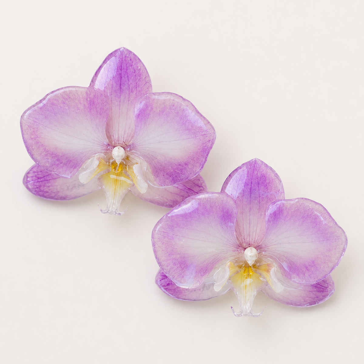 Topos Orquídea Phalaenopsis