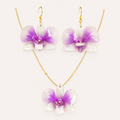 Conjunto Dendrobium mini