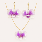 Conjunto Dendrobium mini