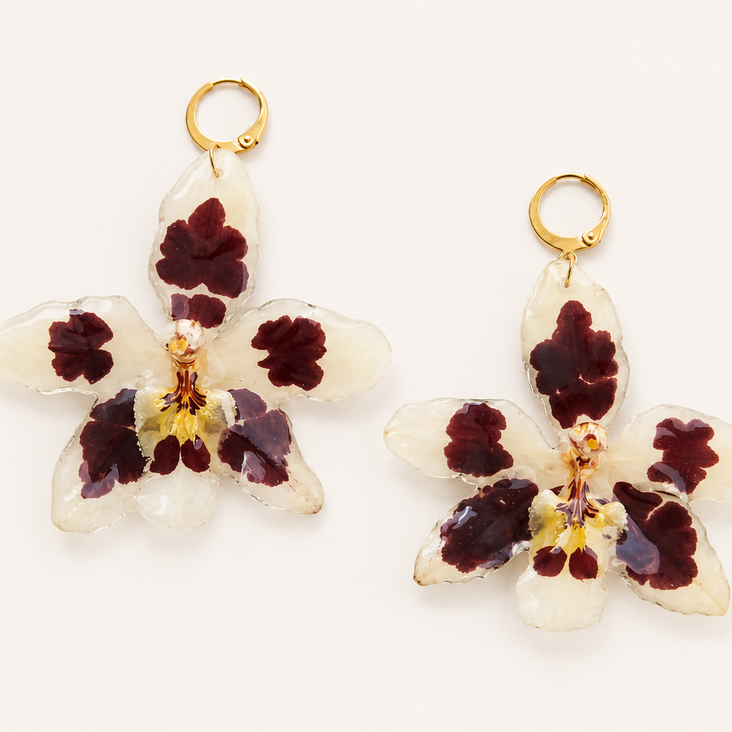 Aretes Odontoglossum