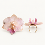 Anillo de Orquídea Phalaenopsis