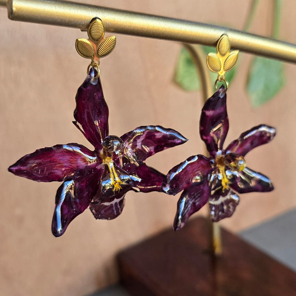Aretes Odontoglossum