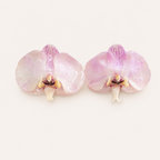 Topos Orquídea Phalaenopsis