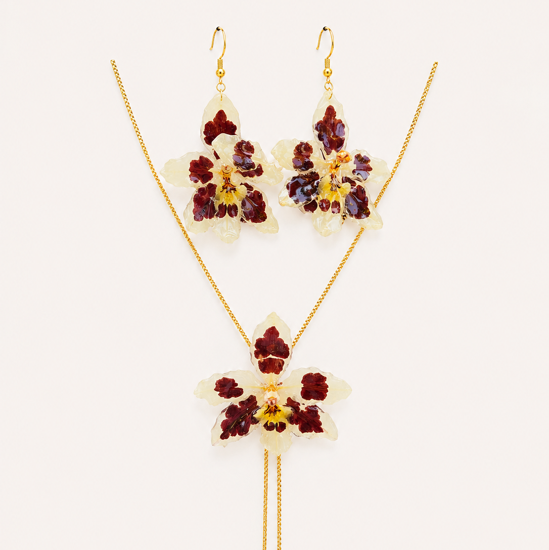 Conjunto Odontoglossum