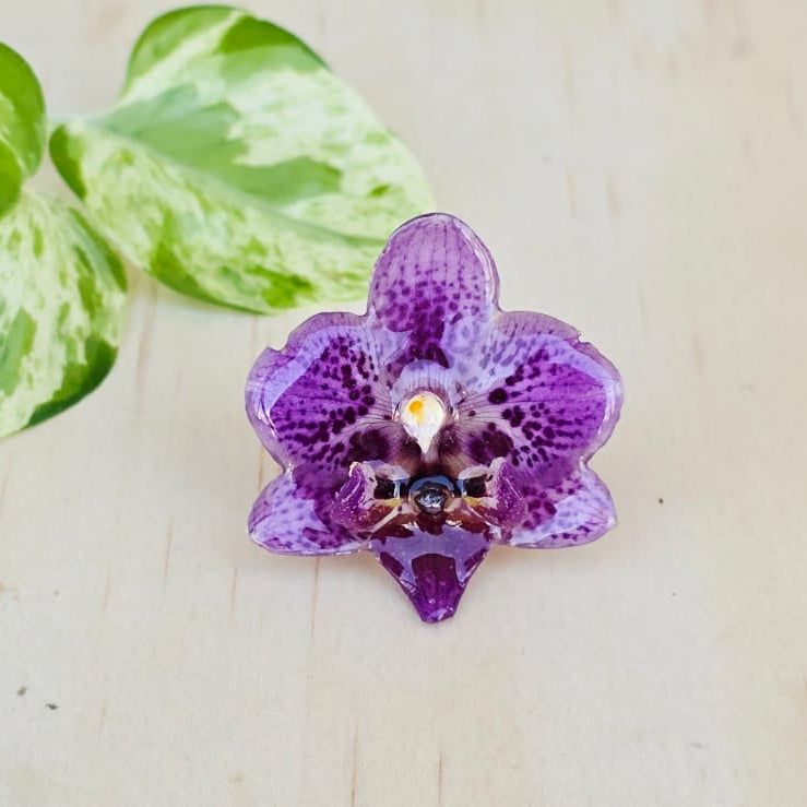 Anillo de Orquídea Natural