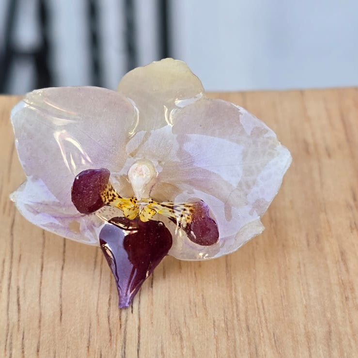 Anillo de Orquídea Natural
