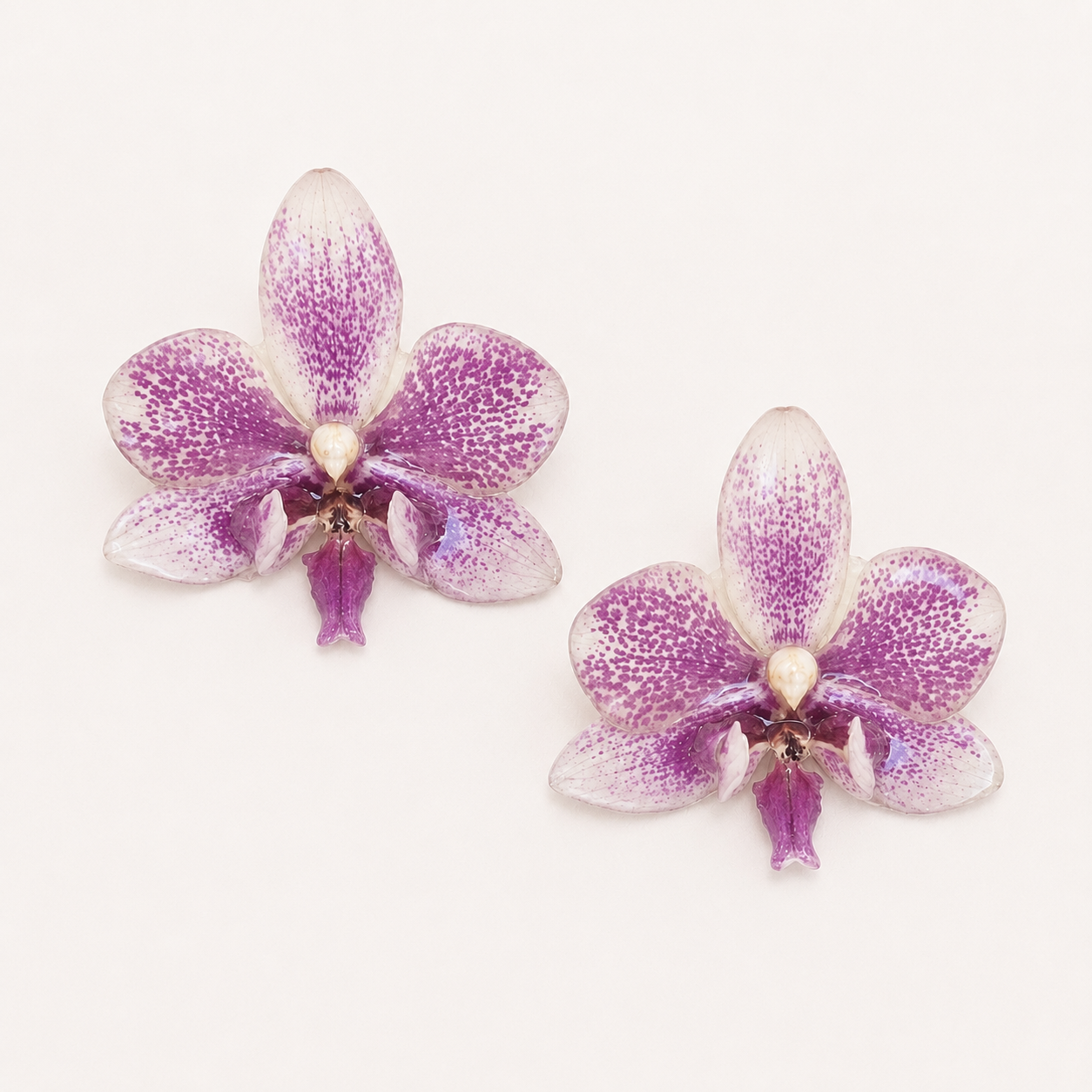 Topos orquídea Phalaenopsis
