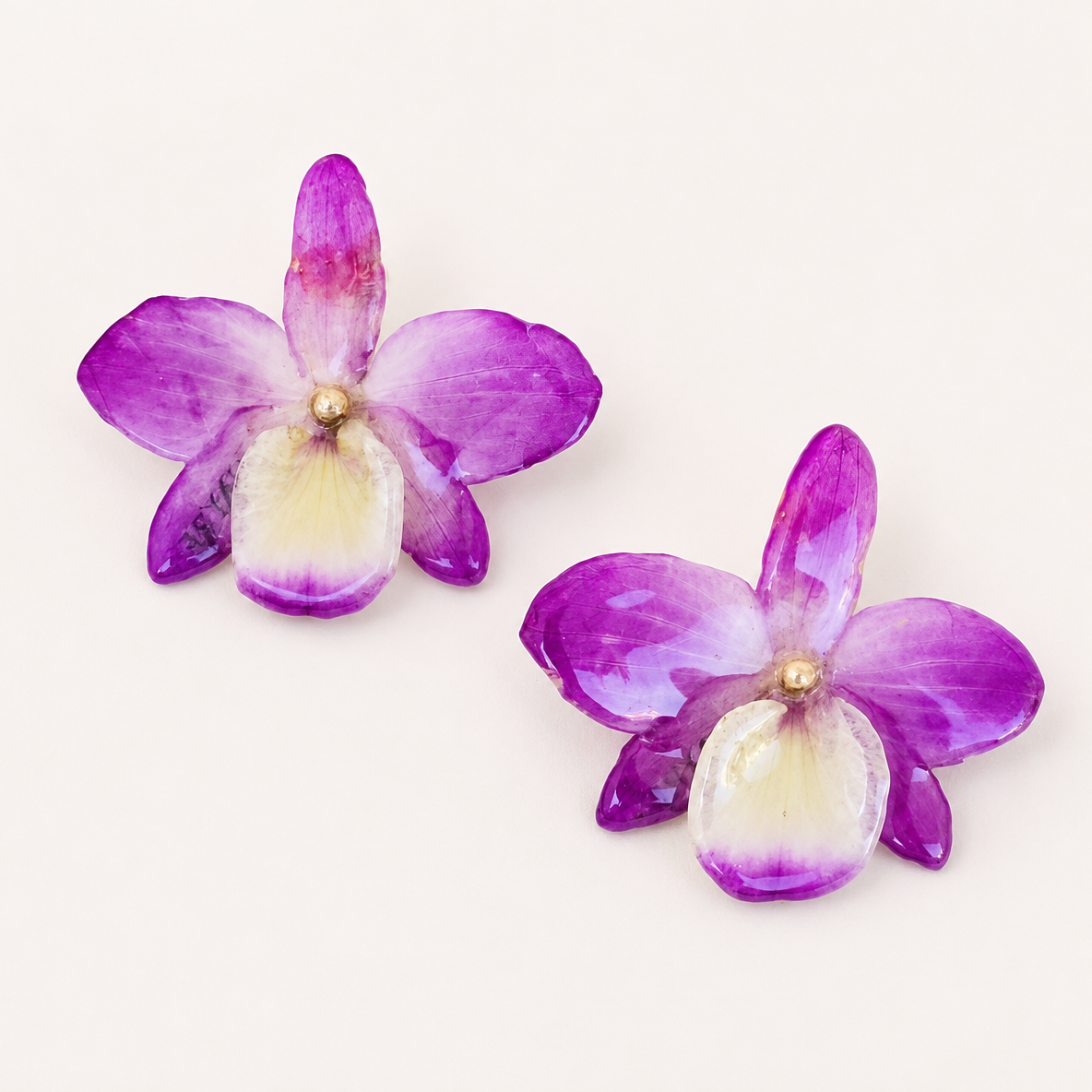 Topos Dendrobium