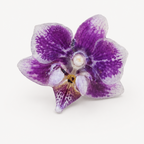 Anillo de Orquídea Phalaenopsis