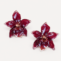 Topos orquídea Odontoglossum