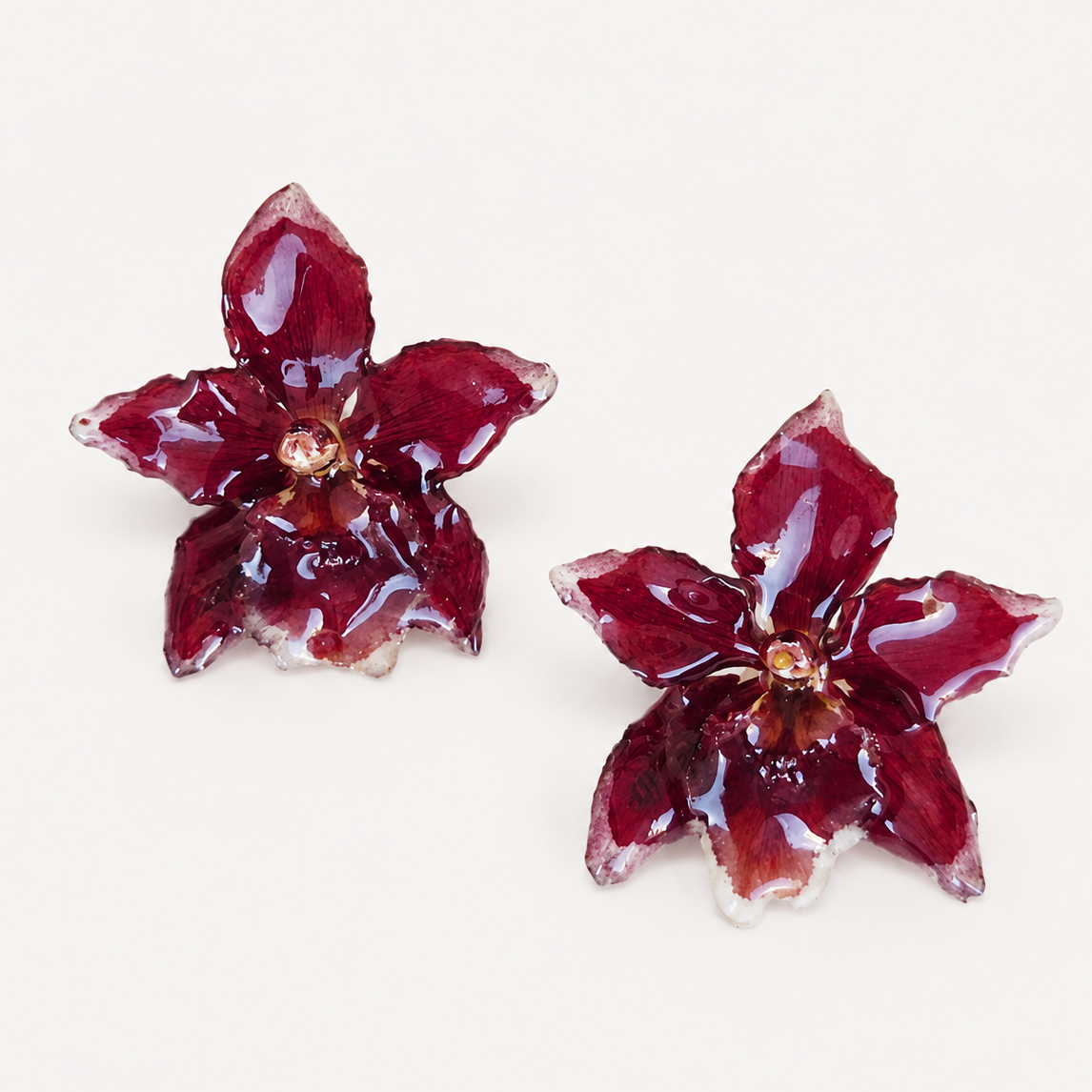 Topos orquídea Odontoglossum