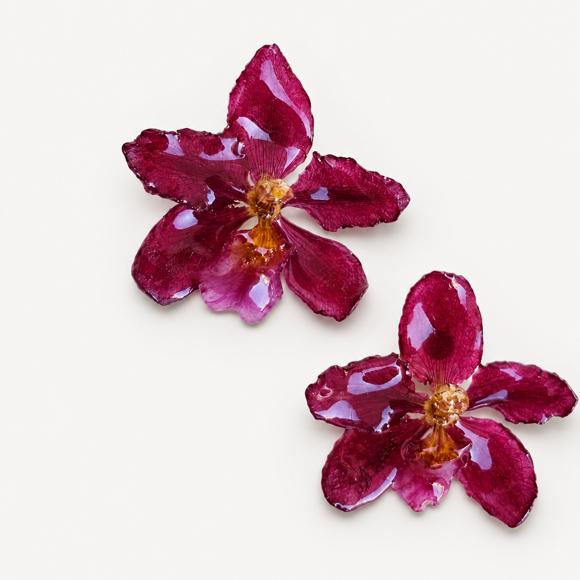 Topos Odontoglossum