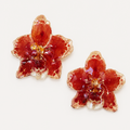 Topos orquídeas Odontoglossum