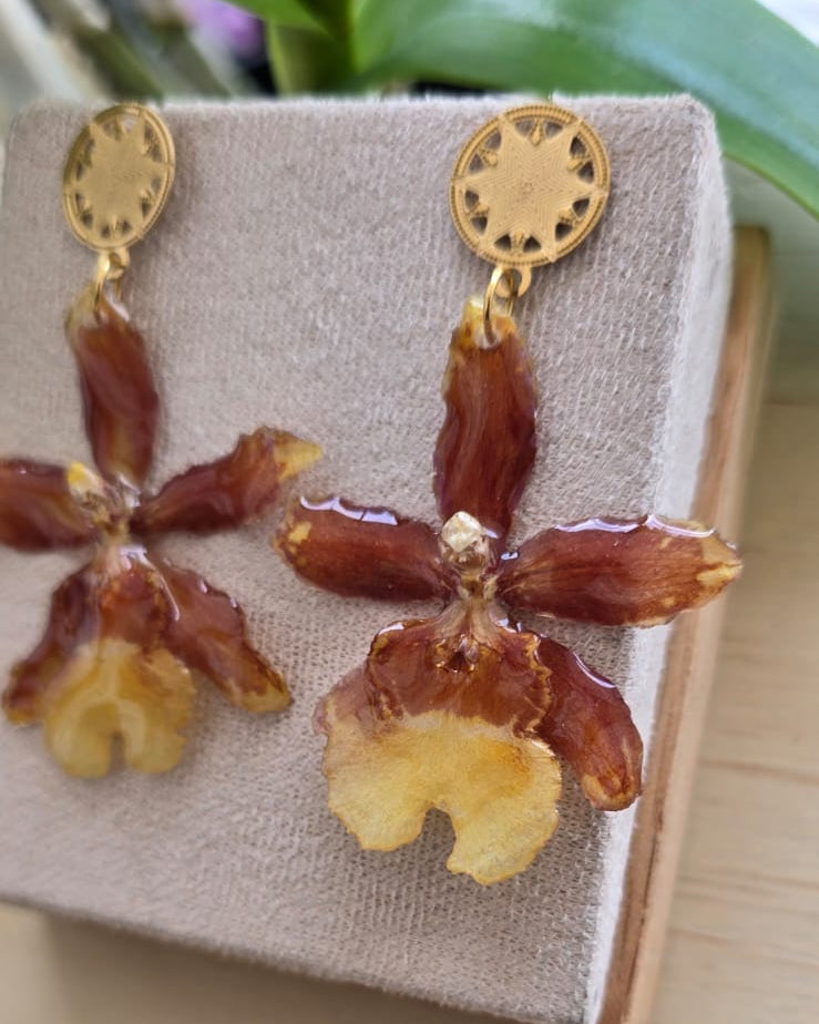 Aretes Orquídea Colmanara