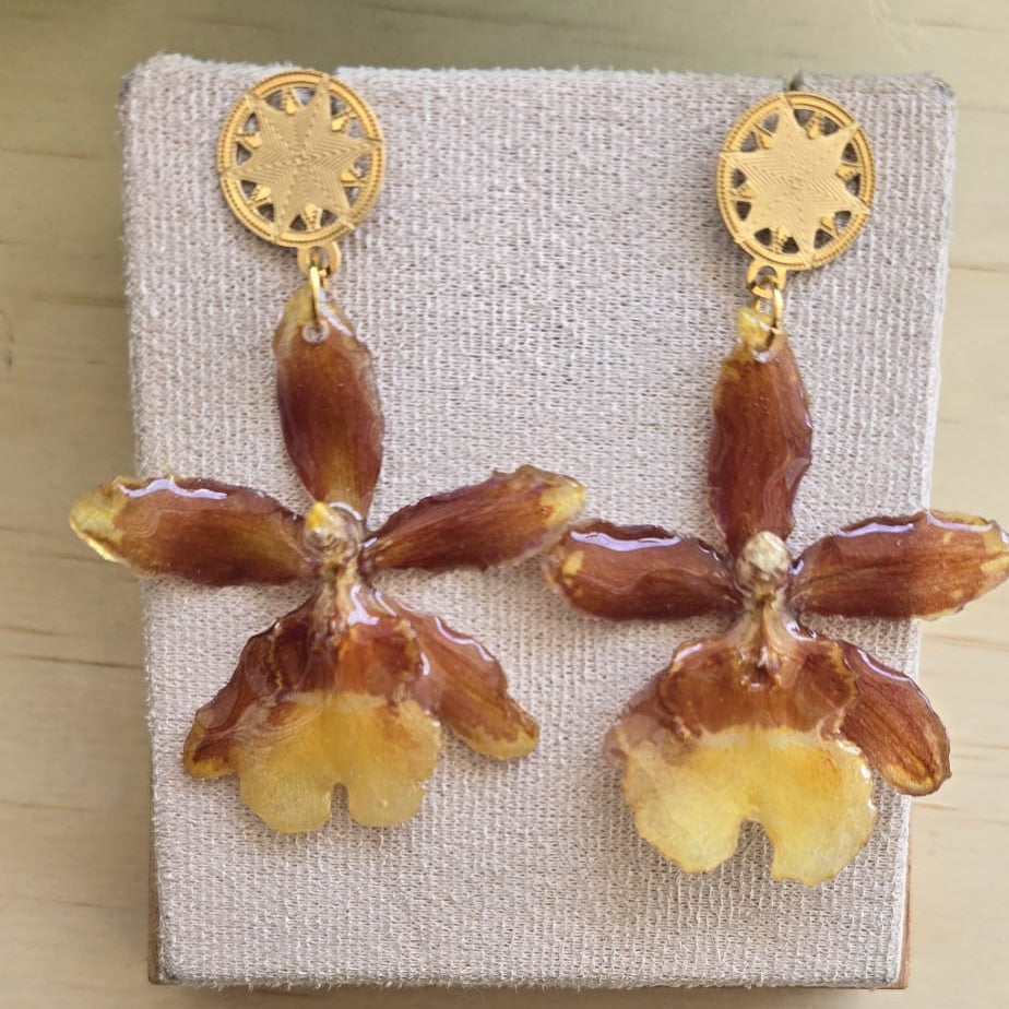 Aretes Orquídea Colmanara