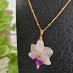 Collar Phalaenopsis mini