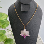 Collar Phalaenopsis mini