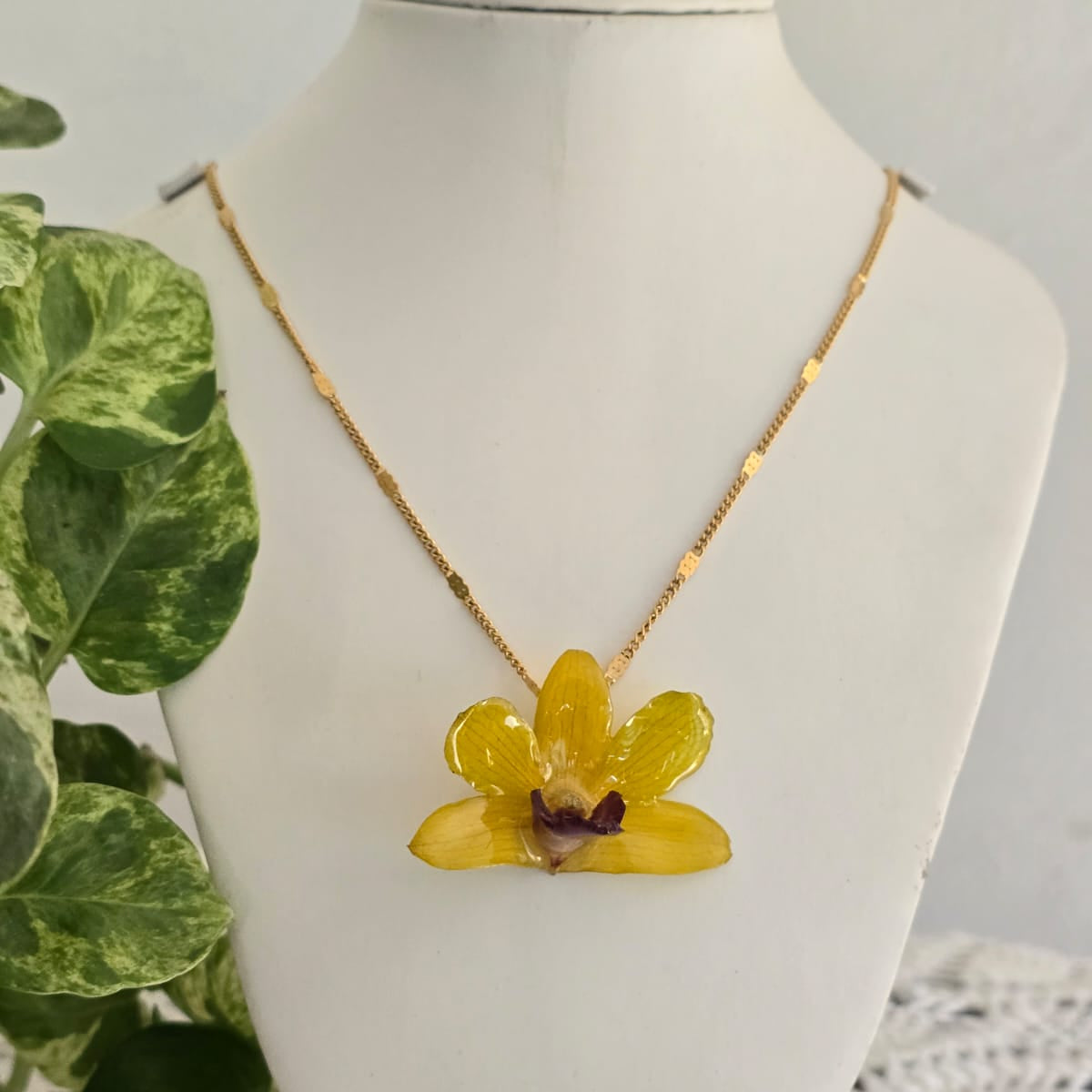 Orquídea Dendrobium Amarillo Tropical