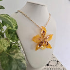 Orquídea Dendrobium