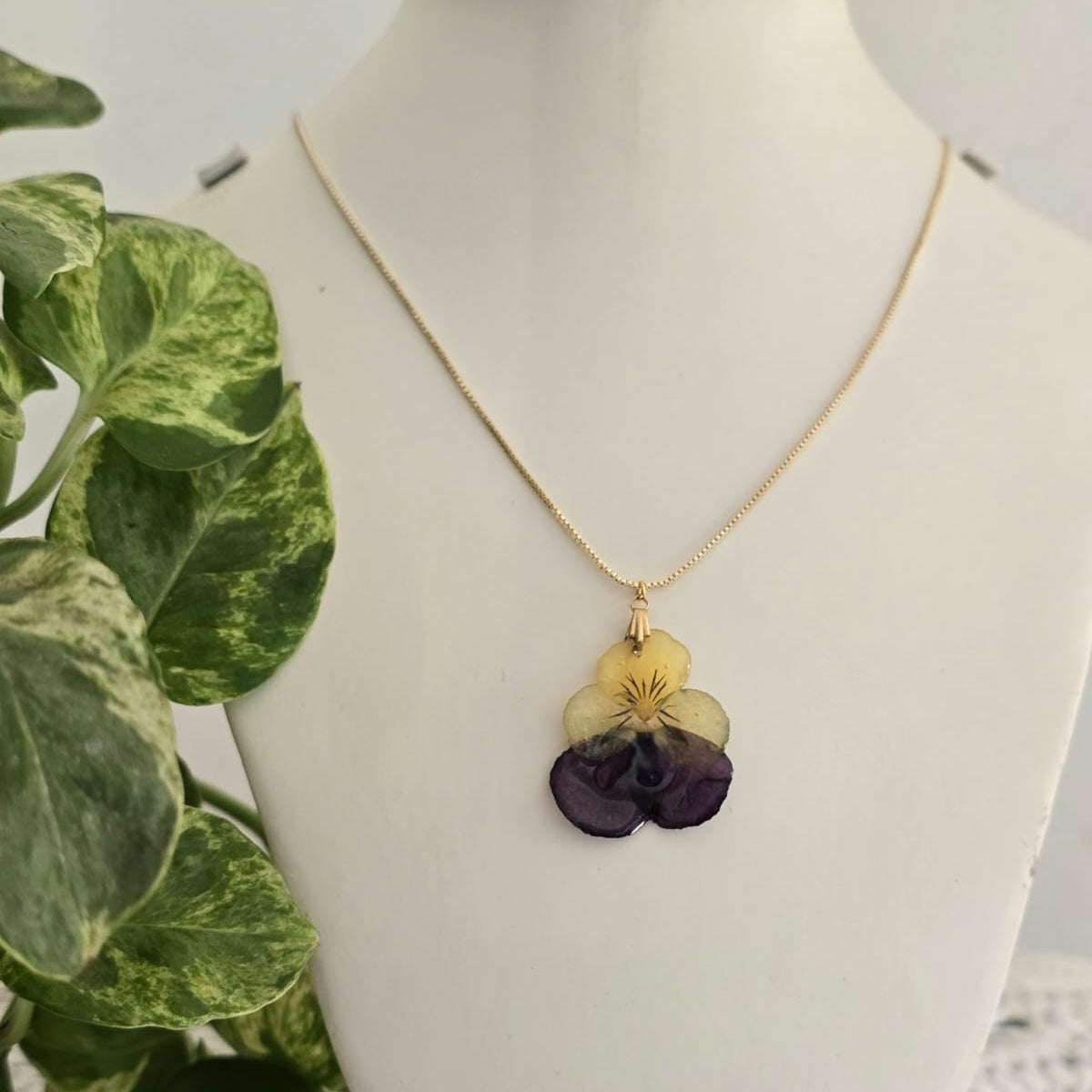 Collar flor de Pensamientos