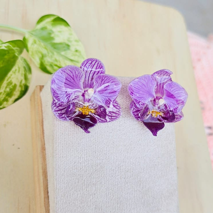 Topos Orquídea Phalaenopsis mini