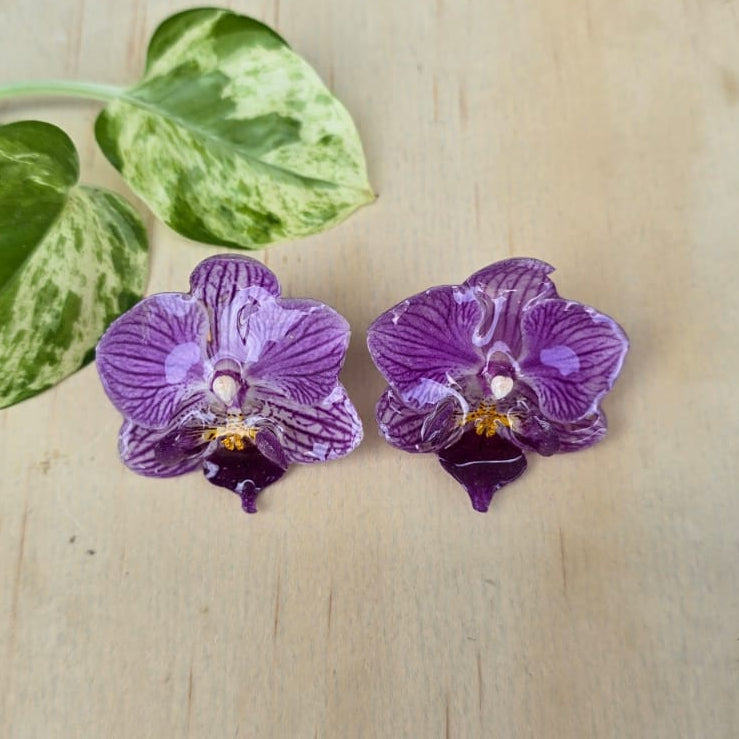 Topos Orquídea Phalaenopsis mini