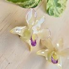 Topos Orquídea Dendrobium color crema