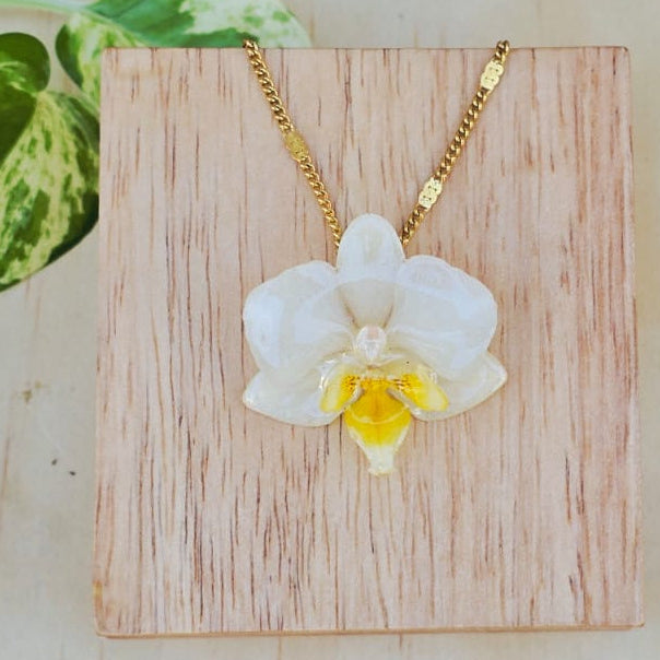 Collar Orquídea Phalaenopsis mini