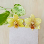 Aretes Orquídea Phalaenopsis mini