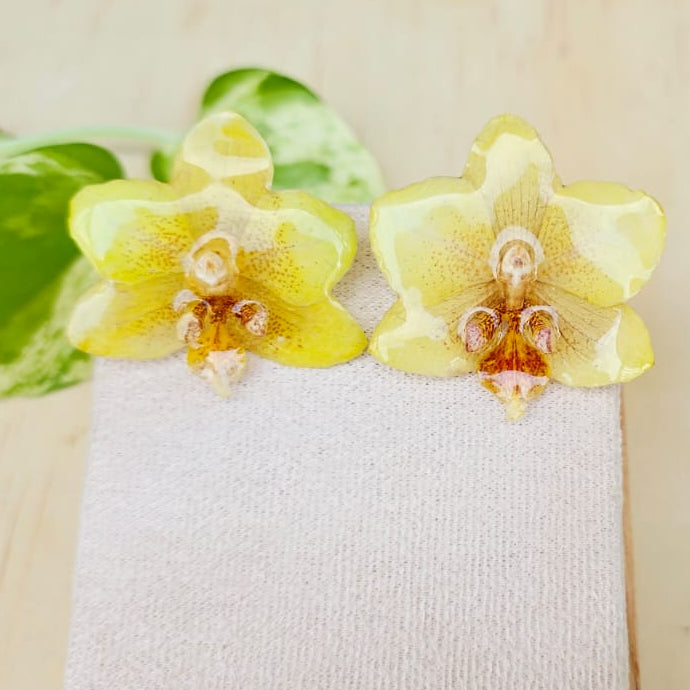Aretes Orquídea Phalaenopsis mini