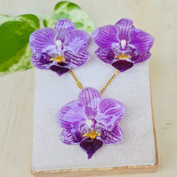 Conjunto Phalaenopsis mini