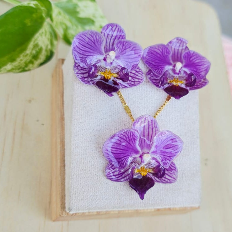 Conjunto Phalaenopsis mini