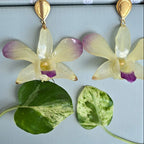 Aretes Orquídea Dendrobium