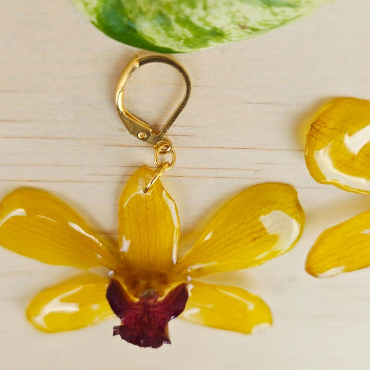 Aretes Dendrobium Tropical